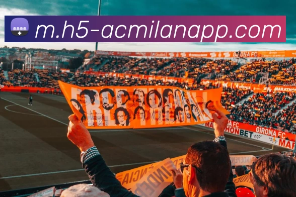 星空体育APP 封面图